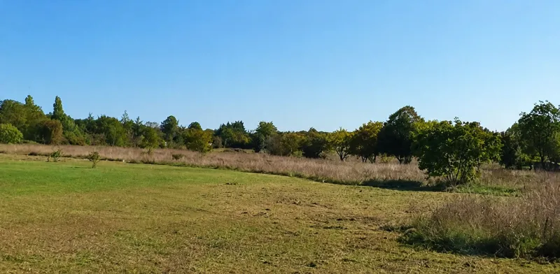 Terrain à bâtir à Pont-l'Abbé-d'Arnoult