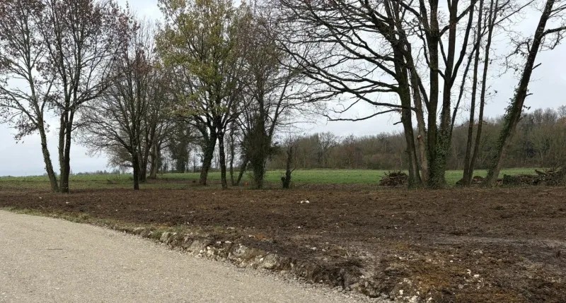 Terrain à bâtir à Tesson