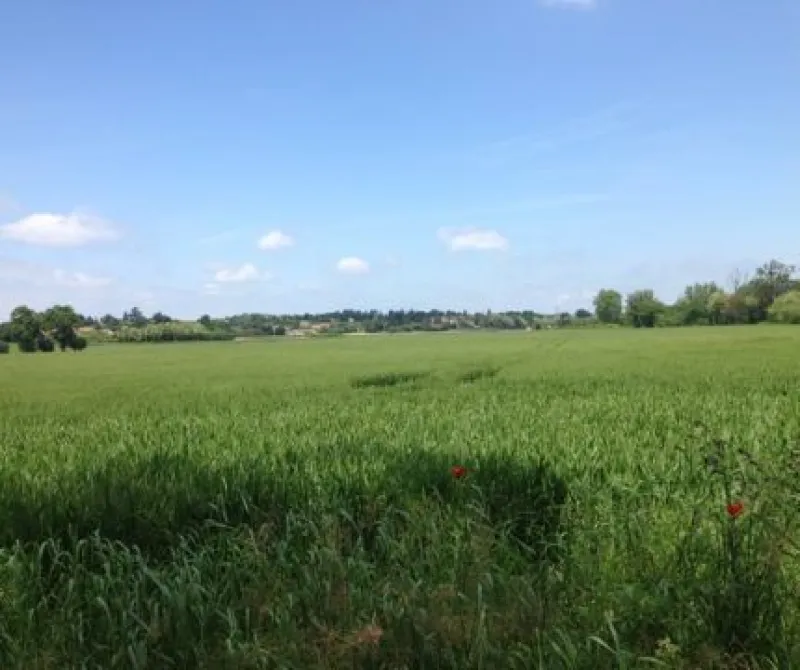 Terrain à bâtir à Saint-Médard-d'Aunis