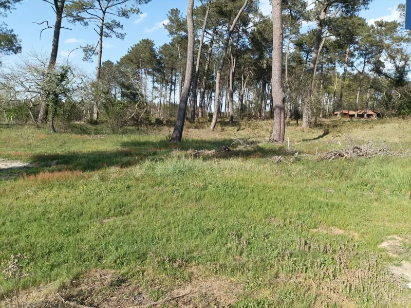 Terrain à bâtir à Biscarrosse
