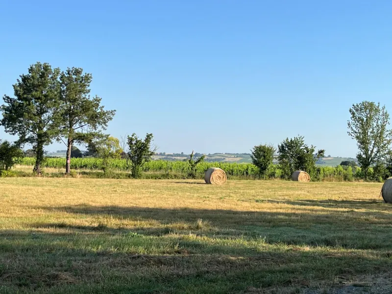 Terrain à bâtir à Saint-Pierre-de-Mons