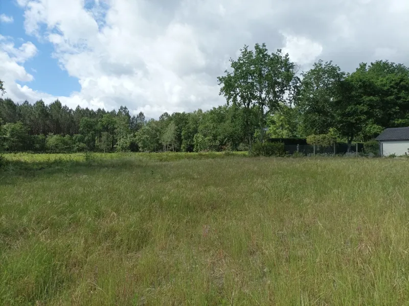 Terrain à bâtir à Martillac