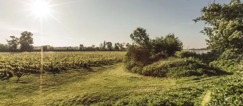 Terrain à bâtir à Saint-Laurent-Médoc