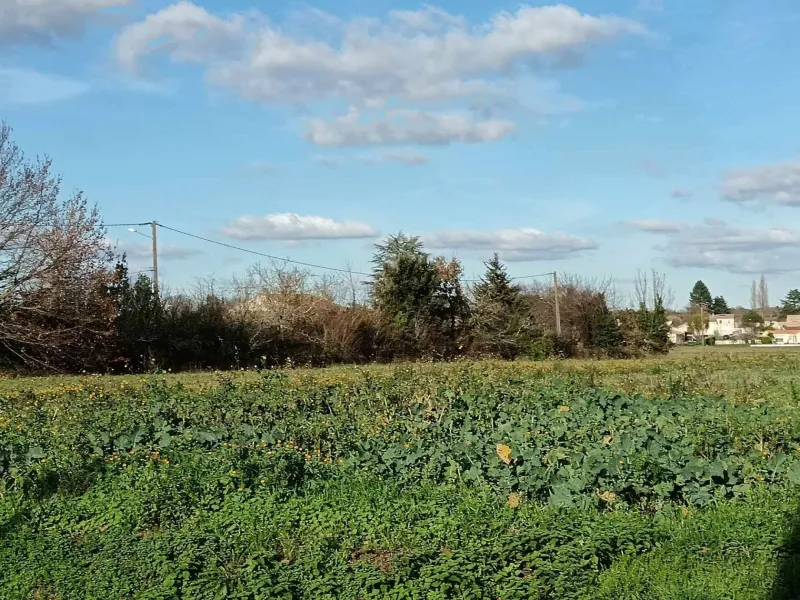 Terrain à bâtir à Tesson