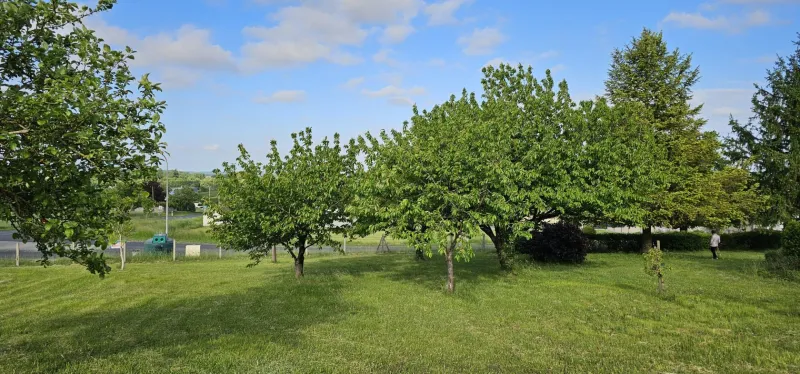 Terrain à bâtir à La Couronne