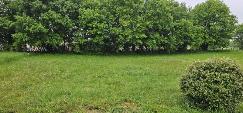 Terrain à bâtir à Verteuil-sur-Charente