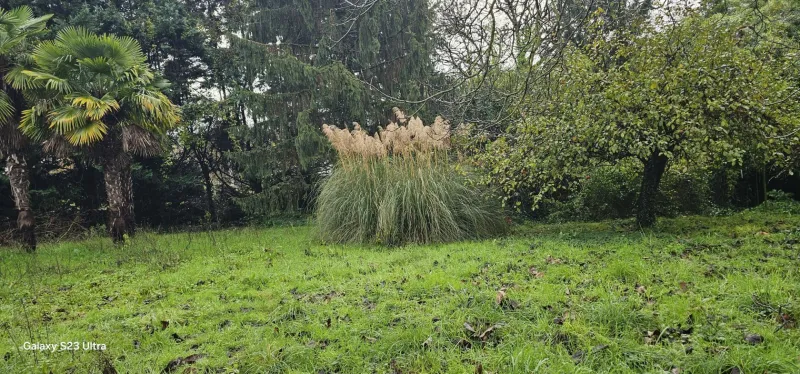 Terrain à bâtir à Angoulême