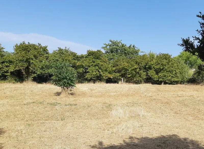 Terrain à bâtir à Matha