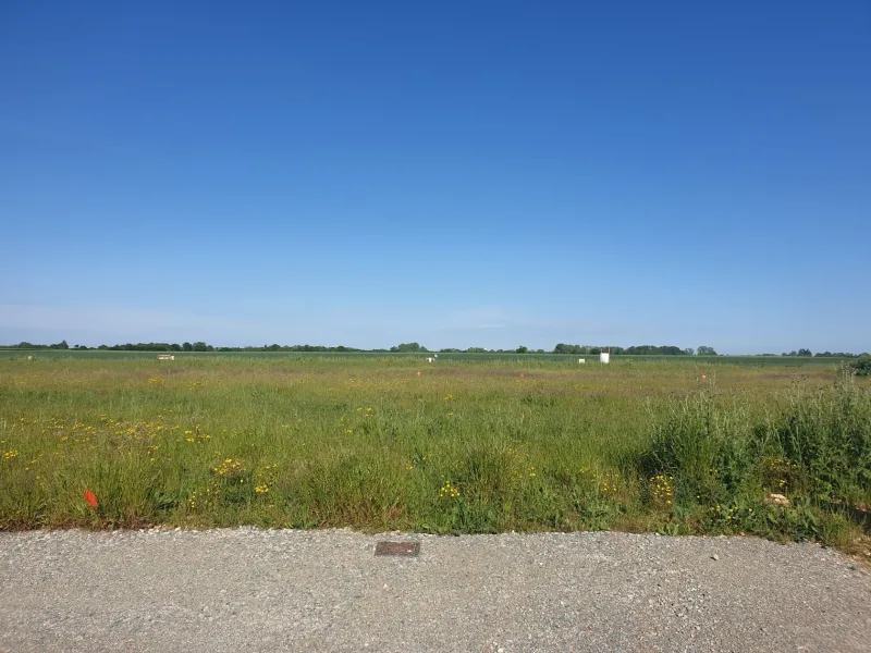 Terrain à bâtir à Forges