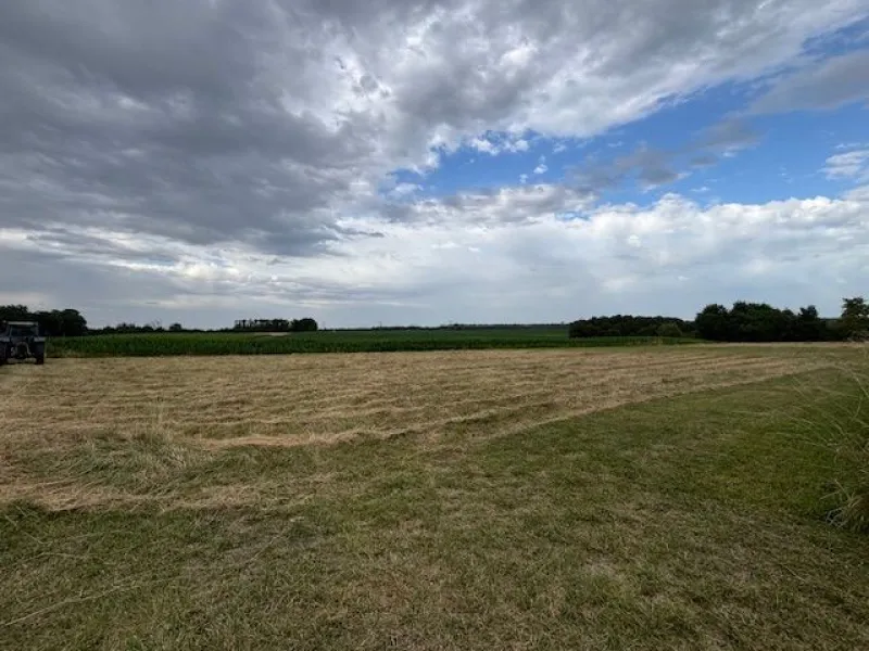 Terrain à bâtir à Villars-en-Pons