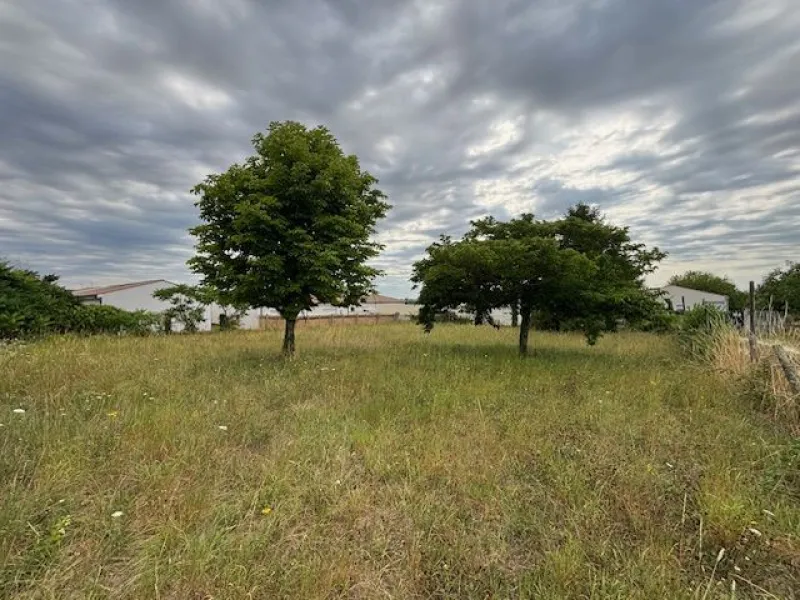 Terrain à bâtir à Meschers-sur-Gironde