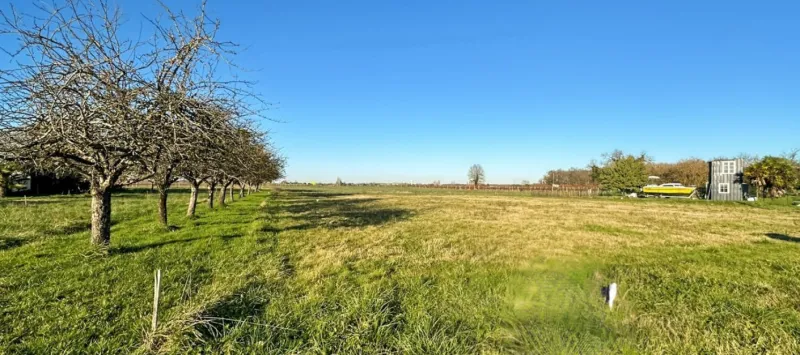 Terrain à bâtir à Gémozac