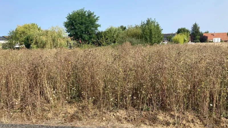 Terrain à bâtir à Athée-sur-Cher