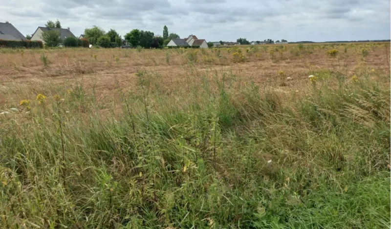 Terrain à bâtir à Saint-Laurent-en-Gâtines