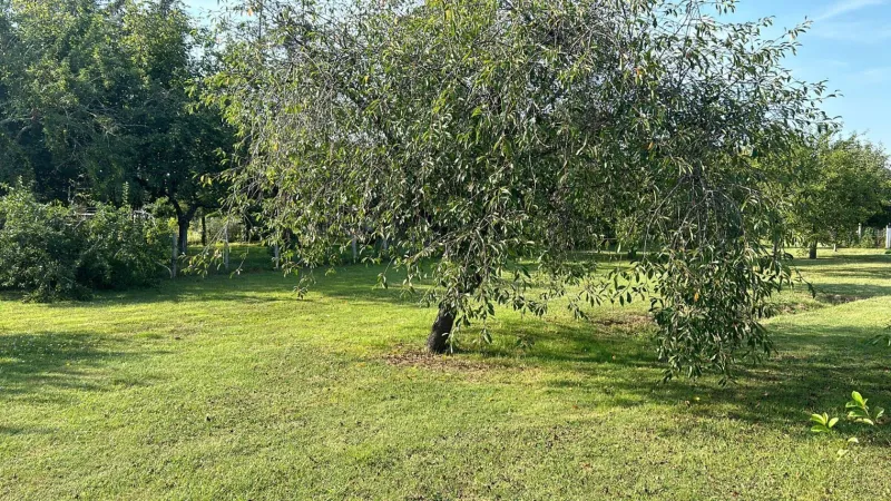 Terrain à bâtir à La Croix-en-Touraine