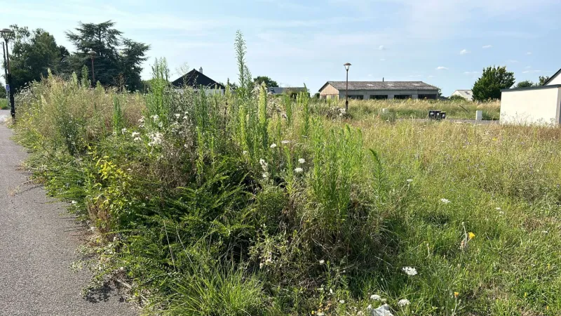 Terrain à bâtir à Azay-sur-Cher