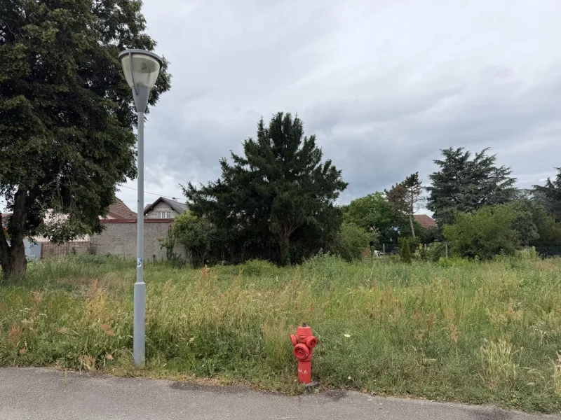 Terrain à bâtir à Wittelsheim