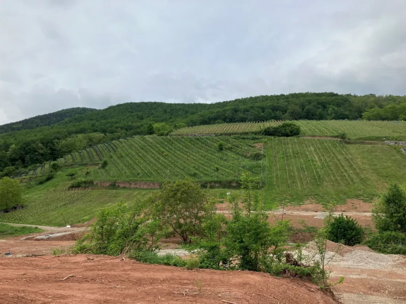 Terrain à bâtir à Katzenthal