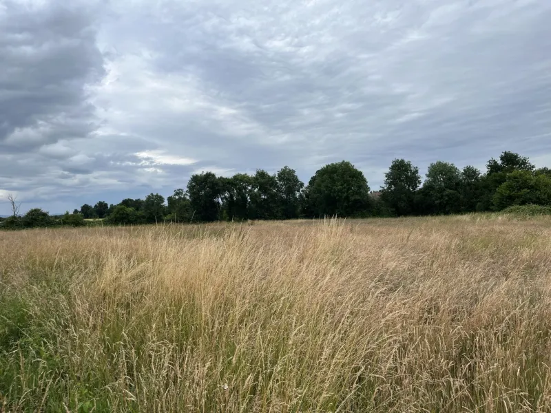 Terrain à bâtir à Chaleins