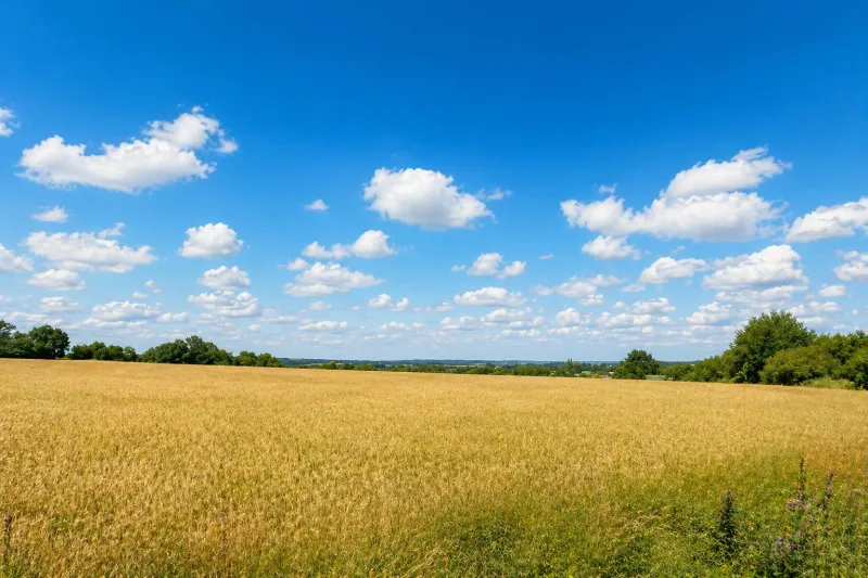 Terrain à bâtir à Pierric