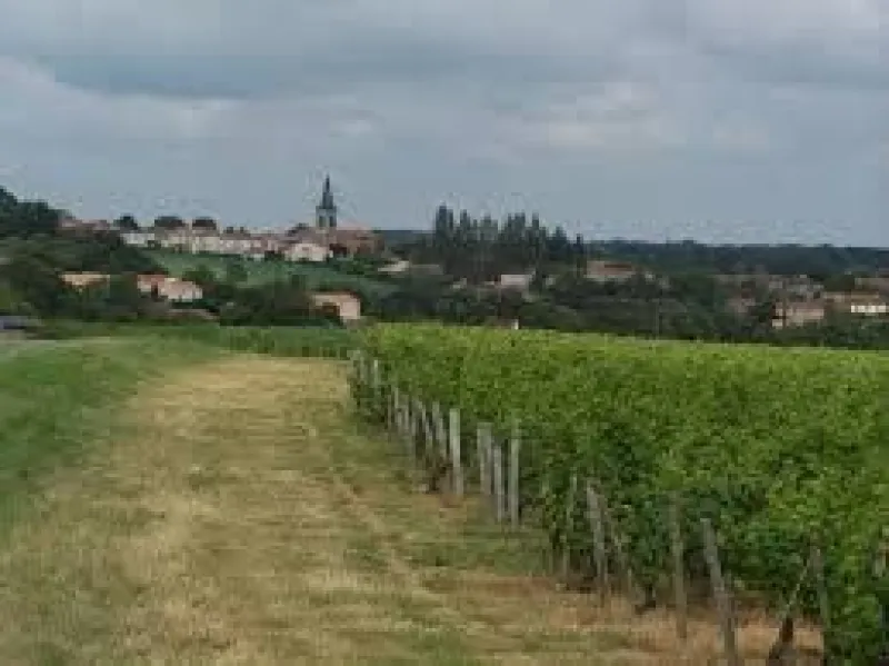 Terrain à bâtir à Pissotte