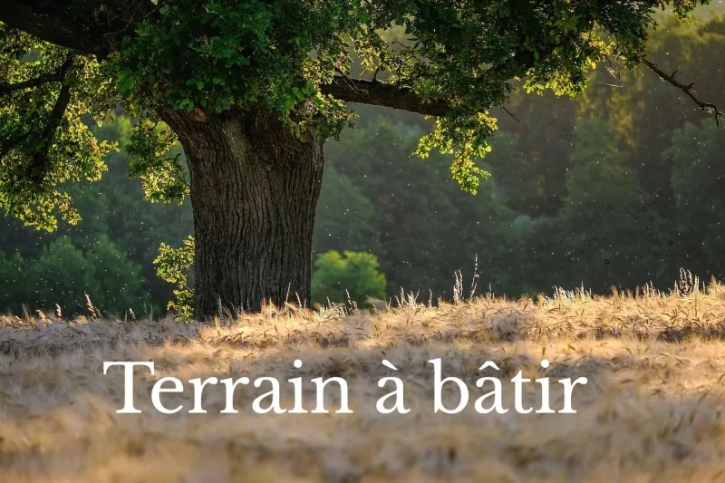 Terrain à bâtir à Assas