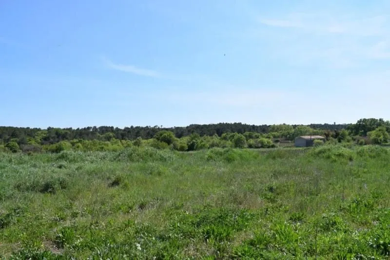 Terrain à bâtir à Galargues