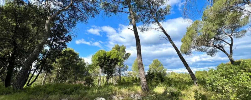 Terrain à bâtir à Guzargues