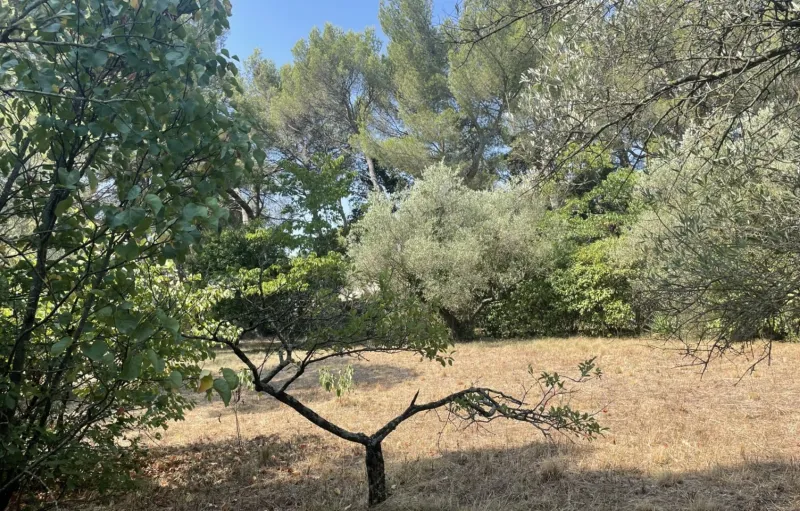 Terrain à bâtir à Nîmes
