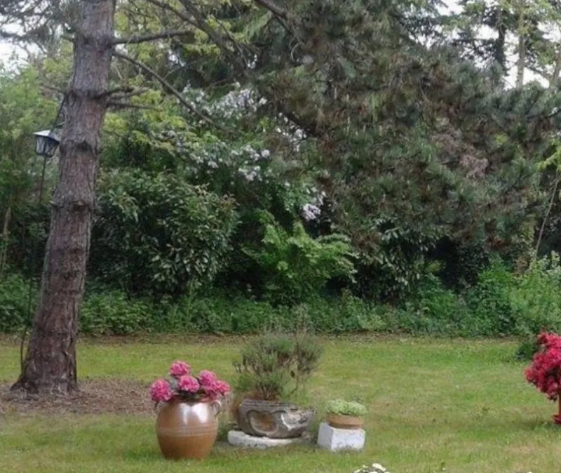 Terrain à bâtir à Torcy