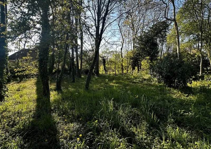 Terrain à bâtir à Lagny-sur-Marne