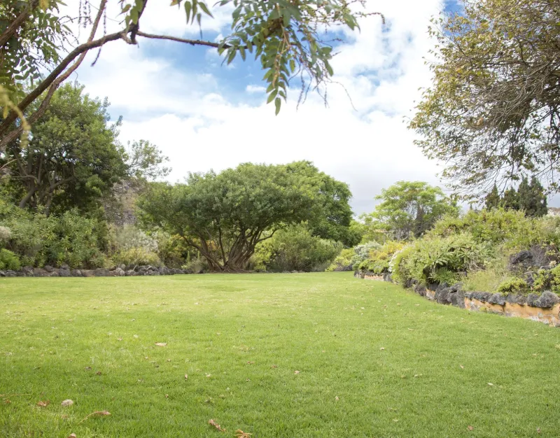 Terrain à bâtir à Ozoir-la-Ferrière