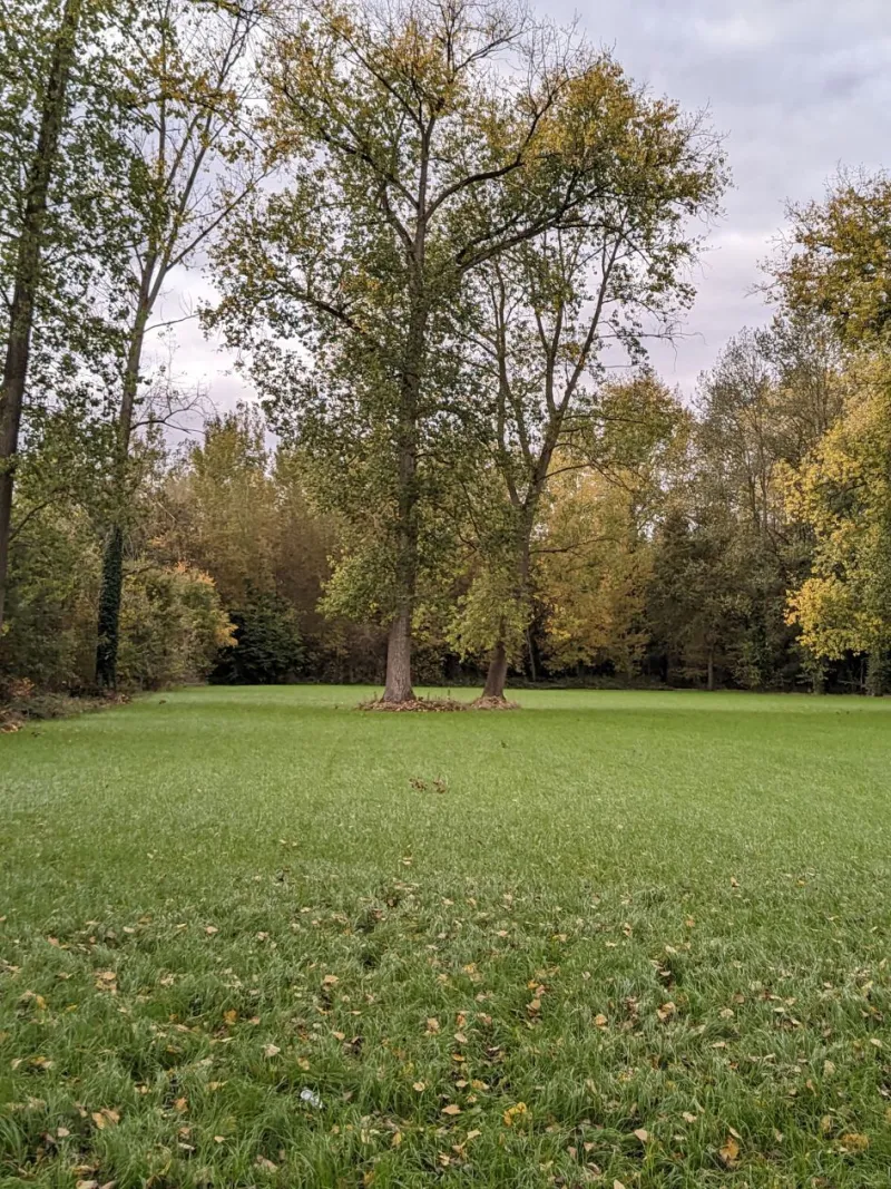 Terrain à bâtir à Richarville