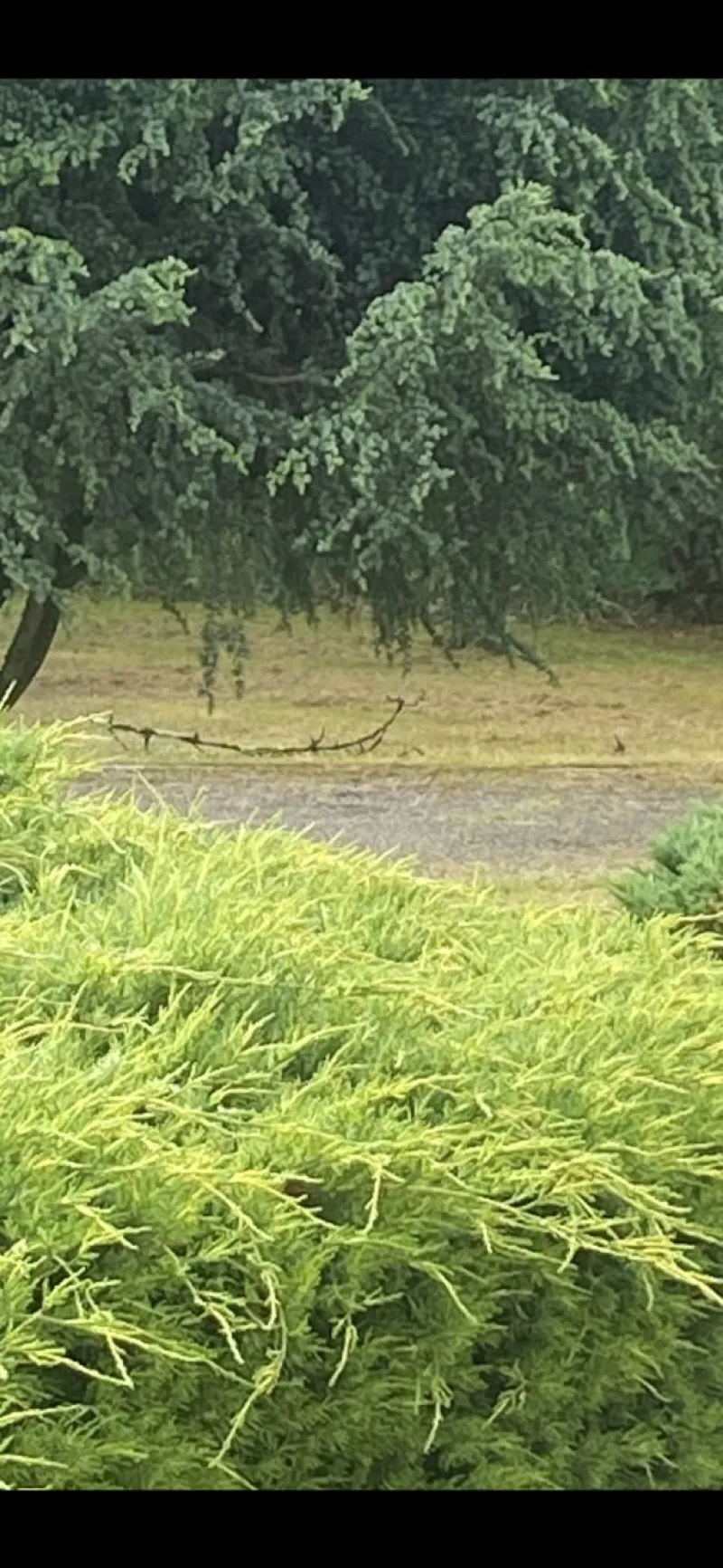 Terrain à bâtir à Coutevroult