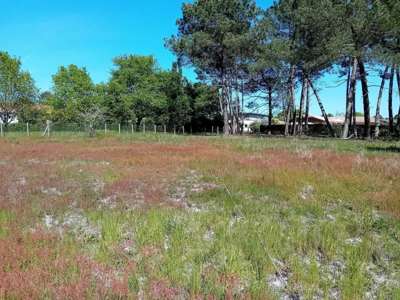 Terrain à bâtir à Saint-Aubin-de-Médoc