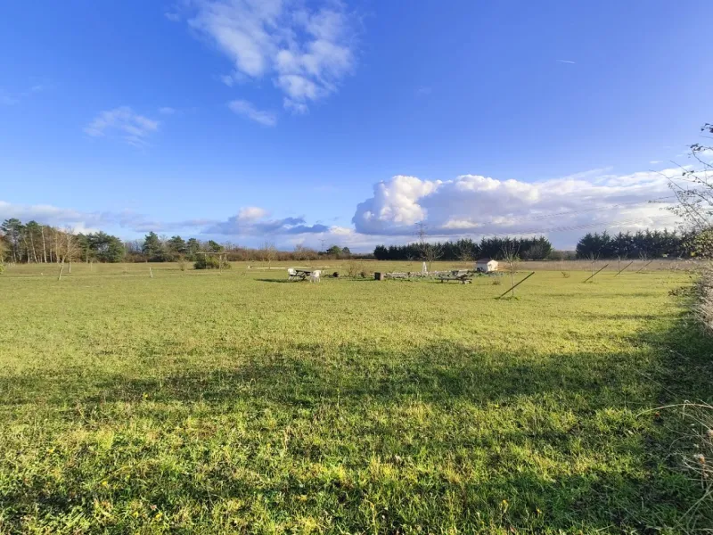 Terrain à bâtir à Pithiviers