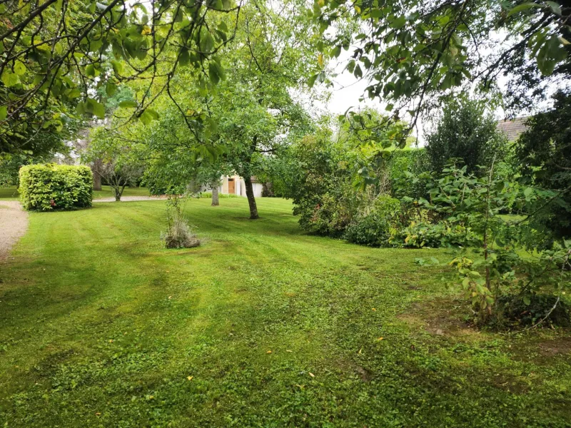 Maison neuve à Champigny-sur-Marne