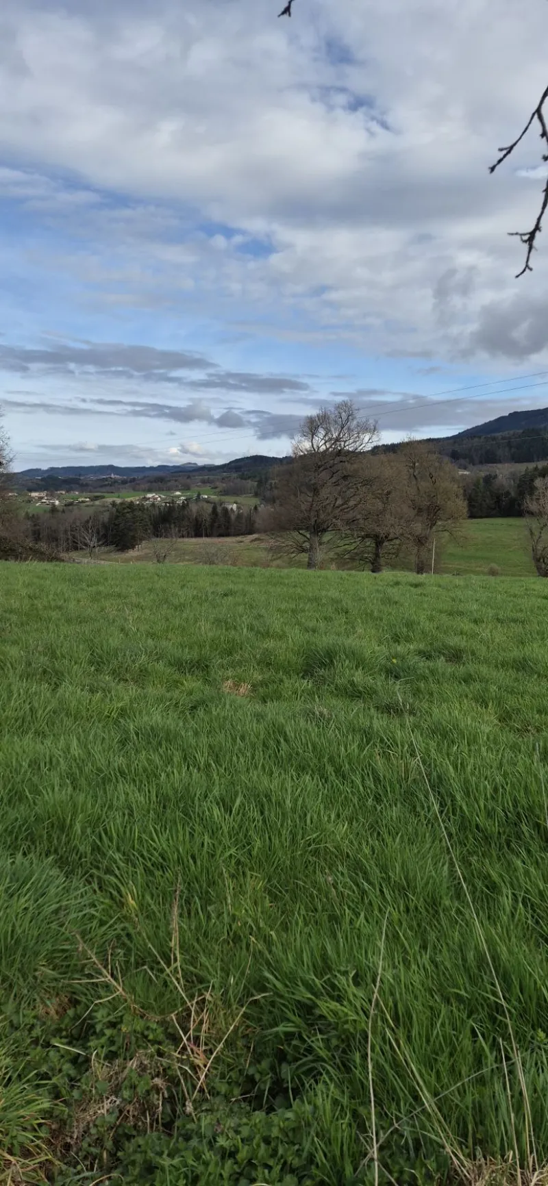 Terrain à bâtir à Augerolles