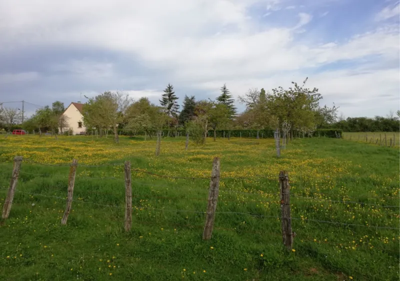 Terrain à bâtir à Saint-Paterne