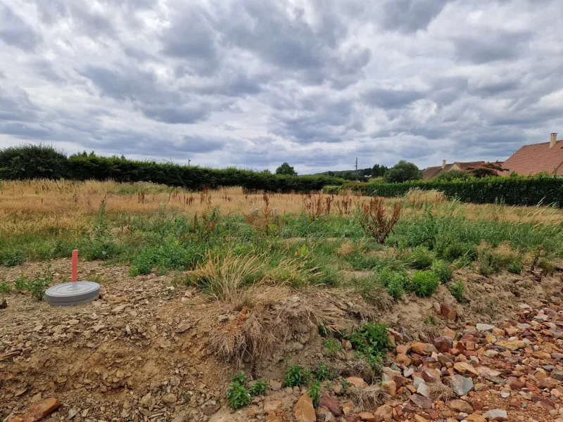 Terrain à bâtir à Neufchâtel-en-Saosnois
