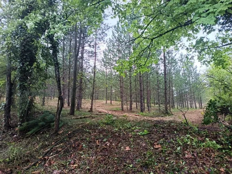Terrain à bâtir à Mollans-sur-Ouvèze
