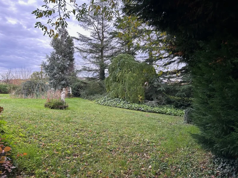 Terrain à bâtir à Saint-Paul-en-Jarez
