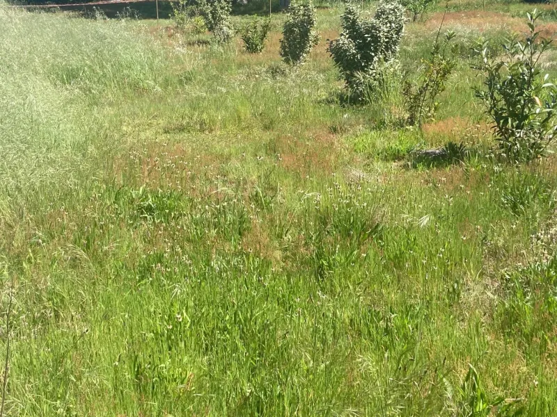 Terrain à bâtir à Hostens