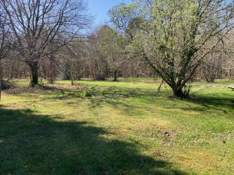 Terrain à bâtir à Belin-Béliet