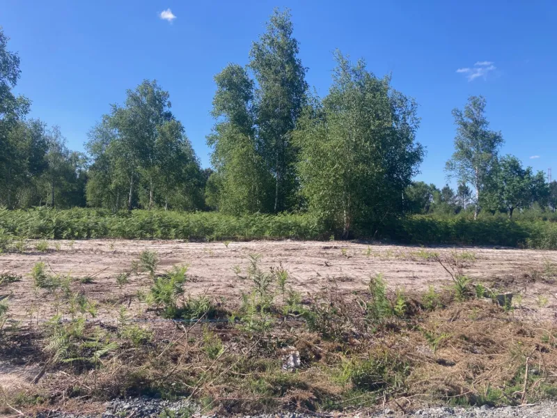Terrain à bâtir à Salles