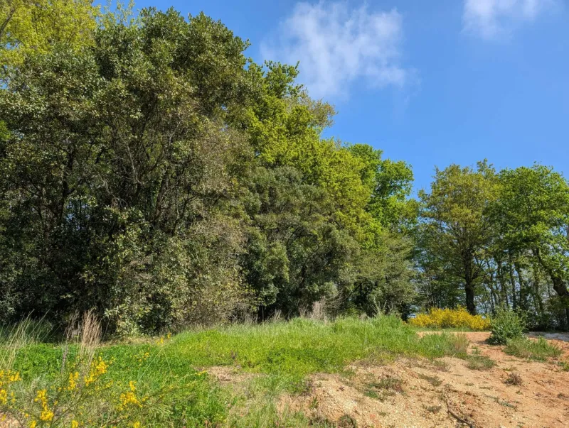 Terrain à bâtir à Loupes