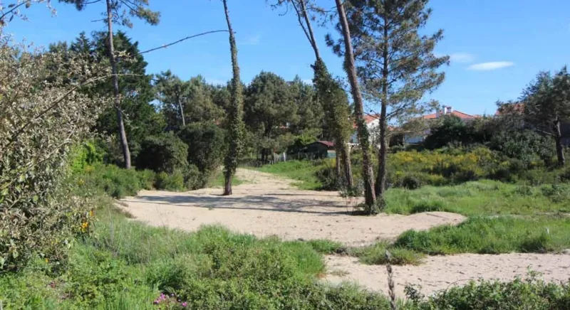 Terrain à bâtir à Bassens