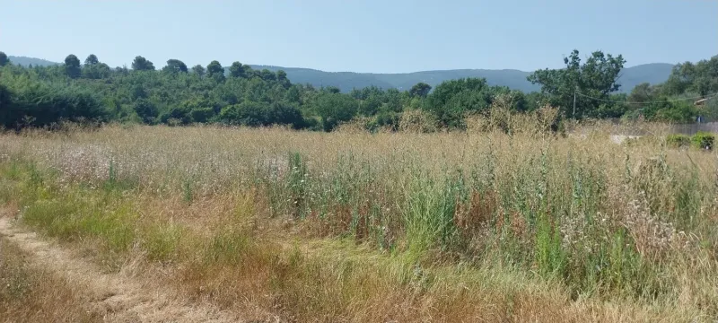 Terrain à bâtir à Cereste
