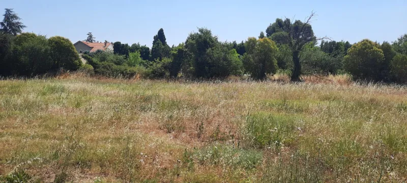 Terrain à bâtir à L'Isle-sur-la-Sorgue