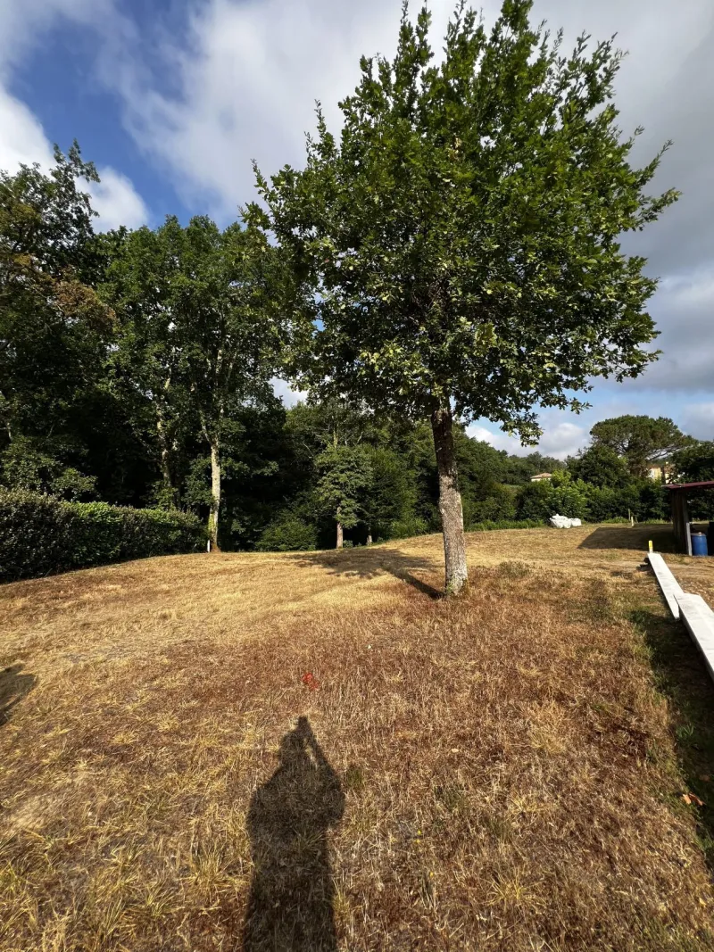 Terrain à bâtir à Léognan